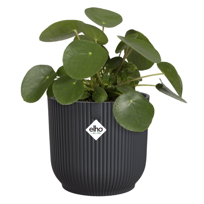 vibes fold rond 25cm antraciet